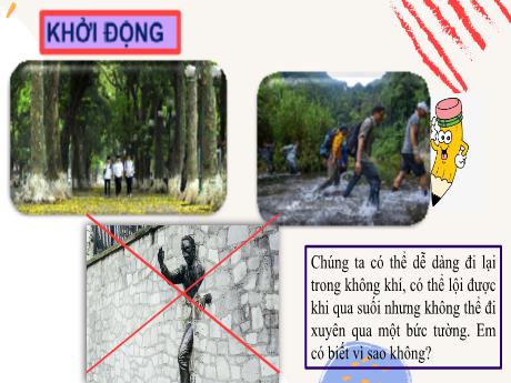 Bài giảng Khoa học tự nhiên 6 - Phần 2, Bài 5: Sự đa dạng của chất