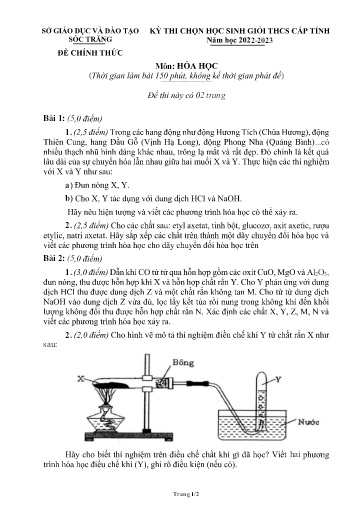 Đề thi học sinh Giỏi THCS cấp Tỉnh môn Hóa học - Năm học 2022-2023 - SGD&ĐT Sóc Trăng (Có đáp án)